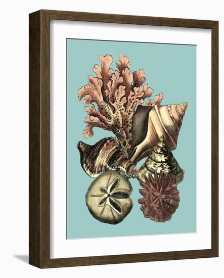 Printed Shell & Coral Collection II-Vision Studio-Framed Art Print