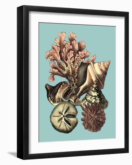 Printed Shell & Coral Collection II-Vision Studio-Framed Art Print