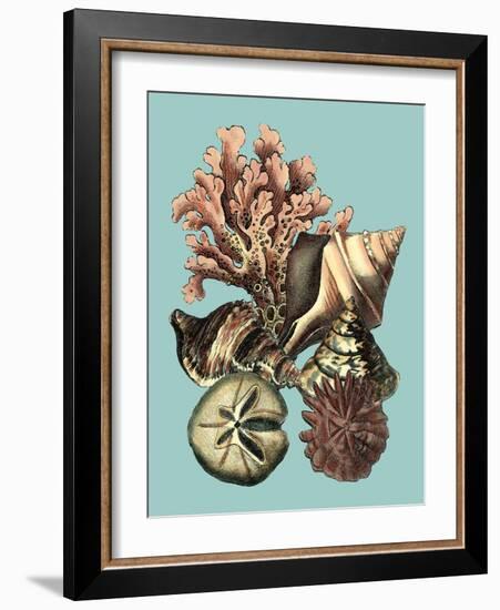 Printed Shell & Coral Collection II-Vision Studio-Framed Art Print