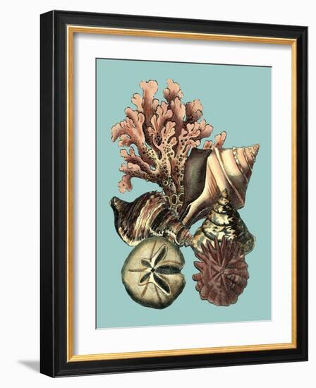 Printed Shell & Coral Collection II-Vision Studio-Framed Art Print