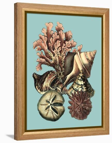 Printed Shell & Coral Collection II-Vision Studio-Framed Stretched Canvas
