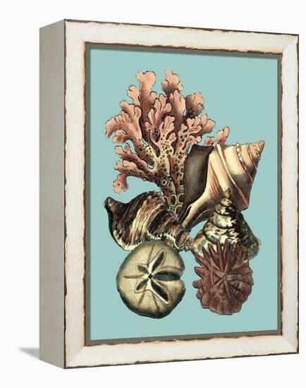 Printed Shell & Coral Collection II-Vision Studio-Framed Stretched Canvas