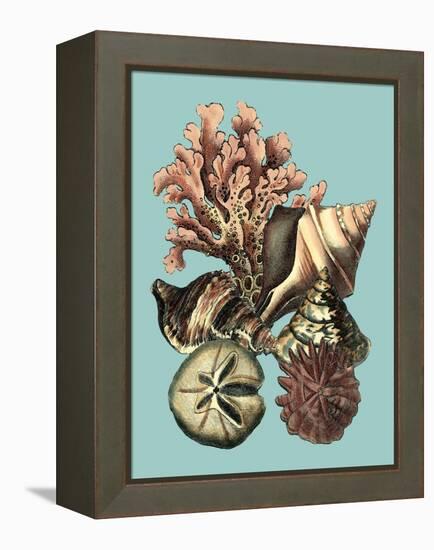 Printed Shell & Coral Collection II-Vision Studio-Framed Stretched Canvas