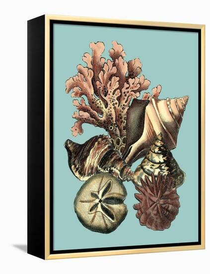 Printed Shell & Coral Collection II-Vision Studio-Framed Stretched Canvas