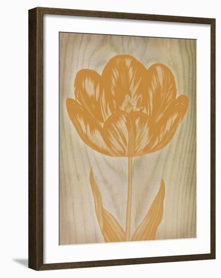 Printed Tulip I-Maria Mendez-Framed Giclee Print