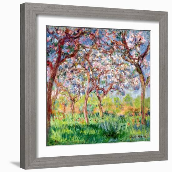 Printemps a Giverny, 1903-Claude Monet-Framed Premium Giclee Print