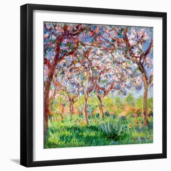 Printemps a Giverny, 1903-Claude Monet-Framed Premium Giclee Print