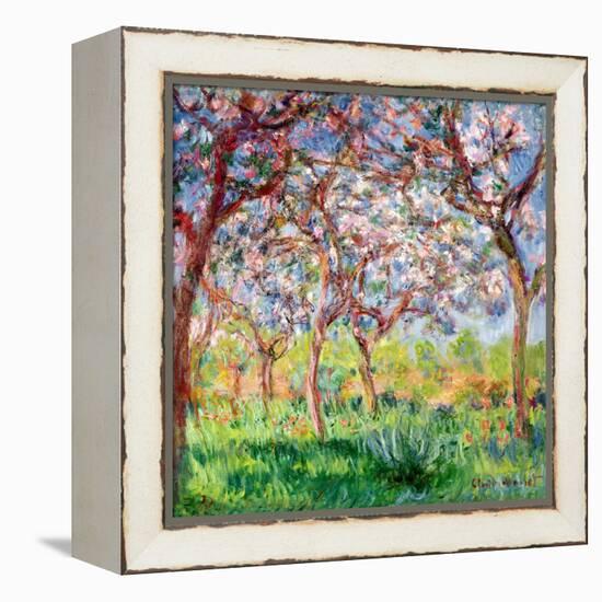 Printemps a Giverny, 1903-Claude Monet-Framed Premier Image Canvas