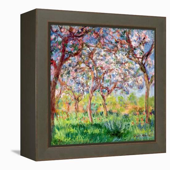 Printemps a Giverny, 1903-Claude Monet-Framed Premier Image Canvas