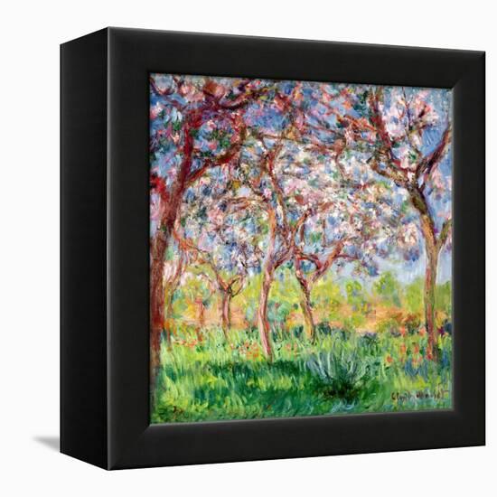 Printemps a Giverny, 1903-Claude Monet-Framed Premier Image Canvas