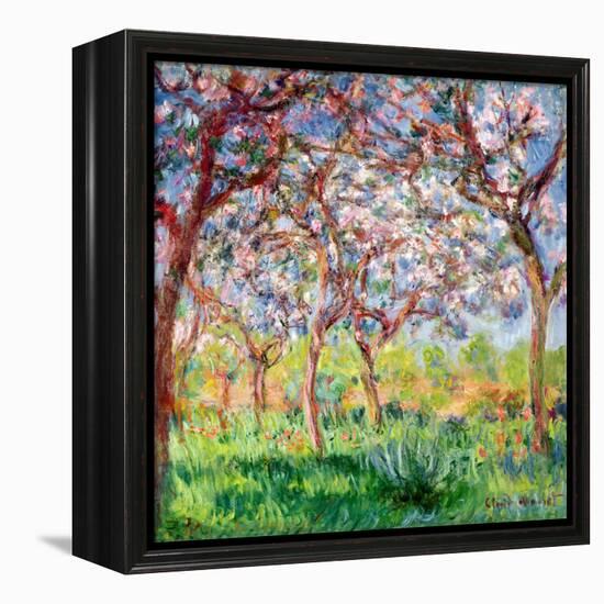 Printemps a Giverny, 1903-Claude Monet-Framed Premier Image Canvas
