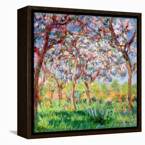 Printemps a Giverny, 1903-Claude Monet-Framed Premier Image Canvas