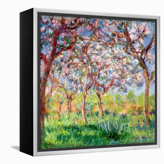 Printemps a Giverny, 1903-Claude Monet-Framed Premier Image Canvas