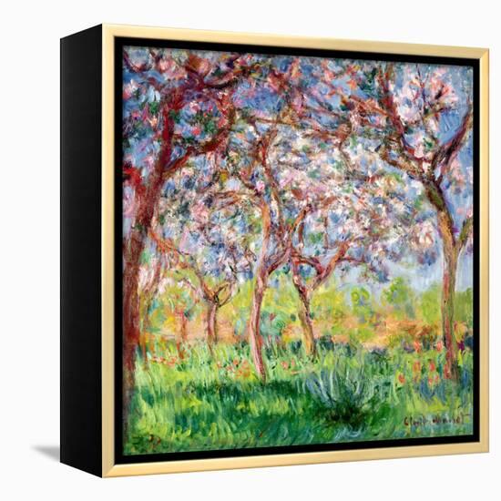 Printemps a Giverny, 1903-Claude Monet-Framed Premier Image Canvas