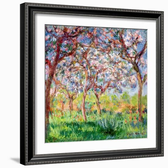 Printemps a Giverny, 1903-Claude Monet-Framed Premium Giclee Print