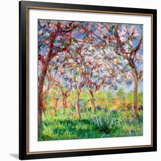 Printemps a Giverny, 1903-Claude Monet-Framed Giclee Print