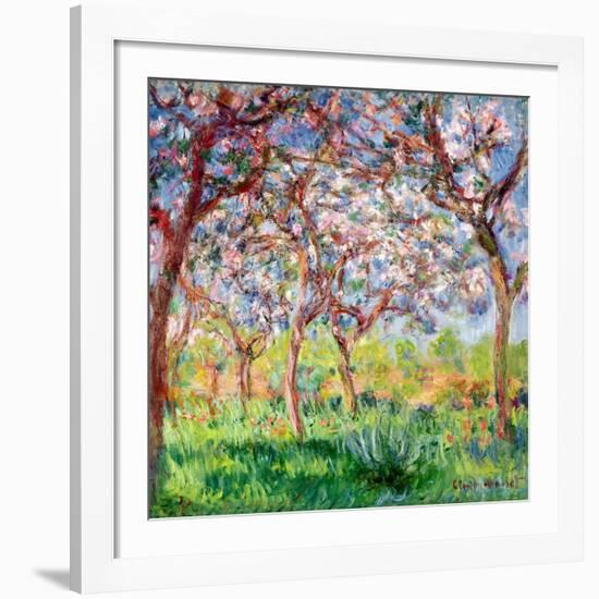 Printemps a Giverny, 1903-Claude Monet-Framed Giclee Print