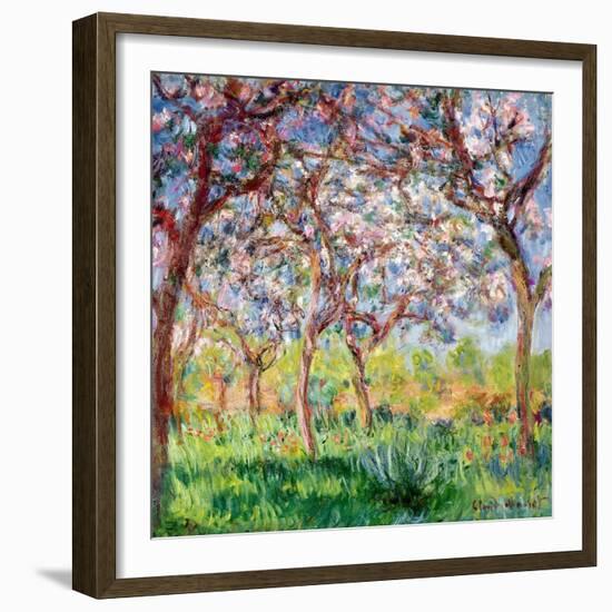 Printemps a Giverny, 1903-Claude Monet-Framed Giclee Print