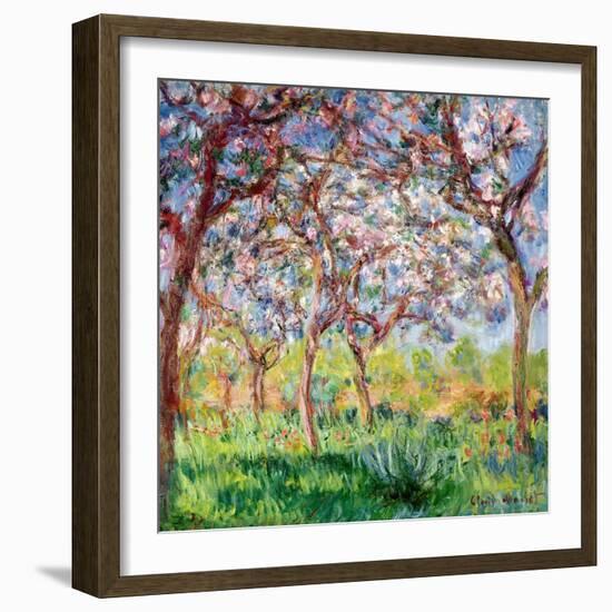 Printemps a Giverny, 1903-Claude Monet-Framed Giclee Print