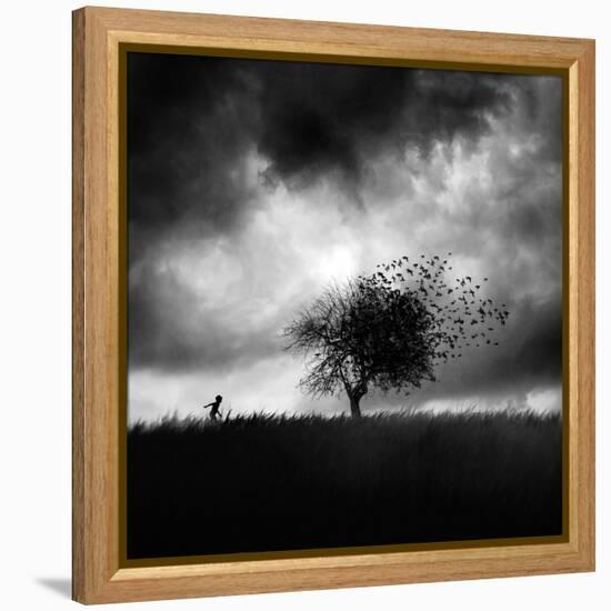 Printemps Perdu-Sebastien Del Grosso-Framed Premier Image Canvas