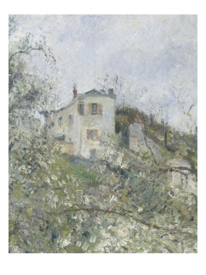Printemps Pruniers En Fleurs Dit Potager Arbres En Fleurs Printemps Pontoise Giclee Print By Camille Pissarro Artcom