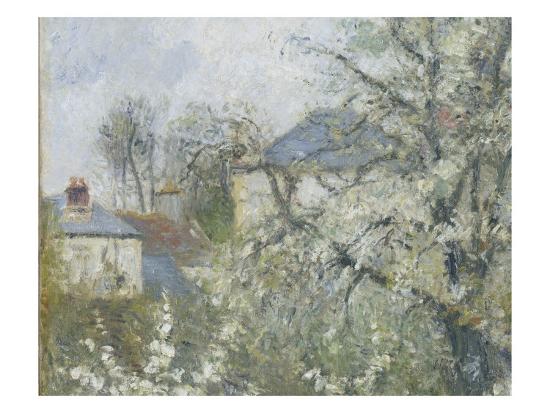 Printemps Pruniers En Fleurs Dit Potager Arbres En Fleurs Printemps Pontoise Giclee Print By Camille Pissarro Artcom