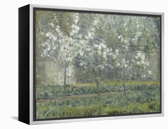 Printemps. Pruniers en fleurs, dit : Potager, arbres en fleurs, printemps, Pontoise-Camille Pissarro-Framed Premier Image Canvas