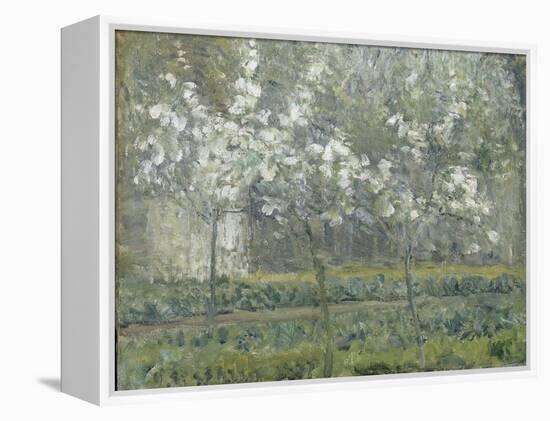 Printemps. Pruniers en fleurs, dit : Potager, arbres en fleurs, printemps, Pontoise-Camille Pissarro-Framed Premier Image Canvas