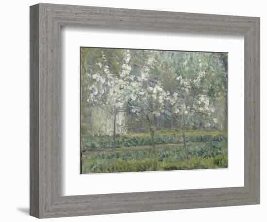 Printemps. Pruniers en fleurs, dit : Potager, arbres en fleurs, printemps, Pontoise-Camille Pissarro-Framed Giclee Print