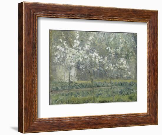 Printemps. Pruniers en fleurs, dit : Potager, arbres en fleurs, printemps, Pontoise-Camille Pissarro-Framed Giclee Print