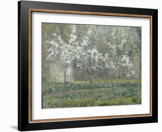 Printemps. Pruniers en fleurs, dit : Potager, arbres en fleurs, printemps, Pontoise-Camille Pissarro-Framed Giclee Print