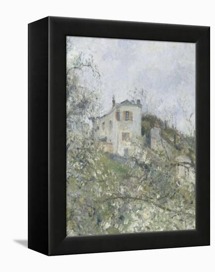 Printemps. Pruniers en fleurs, dit : Potager, arbres en fleurs, printemps, Pontoise-Camille Pissarro-Framed Premier Image Canvas