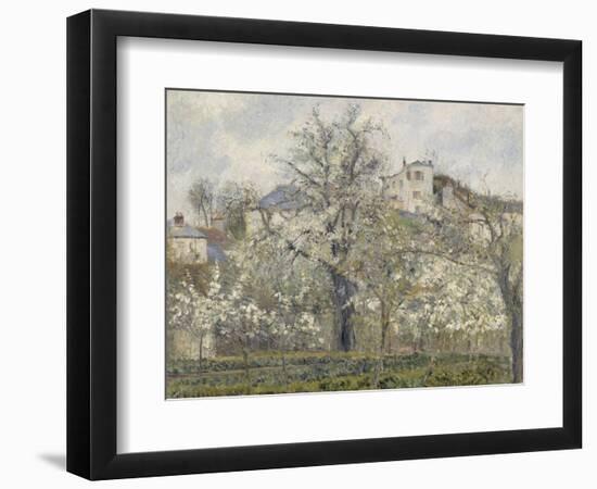 Printemps. Pruniers en fleurs, dit : Potager, arbres en fleurs, printemps, Pontoise-Camille Pissarro-Framed Giclee Print