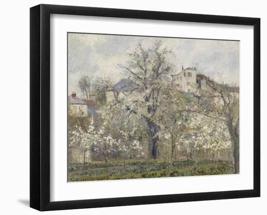 Printemps. Pruniers en fleurs, dit : Potager, arbres en fleurs, printemps, Pontoise-Camille Pissarro-Framed Giclee Print