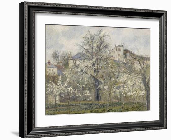 Printemps. Pruniers en fleurs, dit : Potager, arbres en fleurs, printemps, Pontoise-Camille Pissarro-Framed Giclee Print