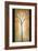 Printemps-Patrick St^ Germain-Framed Giclee Print