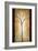 Printemps-Patrick St^ Germain-Framed Giclee Print