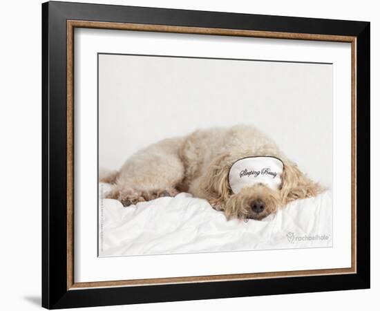 Printz-Rachael Hale-Framed Photo