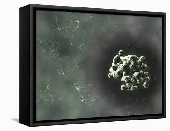 Prion Protein Plaque, Computer Artwork-Equinox Graphics-Framed Premier Image Canvas