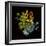 Prismatic Perception-Kareem Rizk-Framed Giclee Print