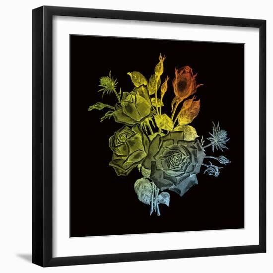 Prismatic Perception-Kareem Rizk-Framed Giclee Print