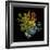 Prismatic Perception-Kareem Rizk-Framed Giclee Print