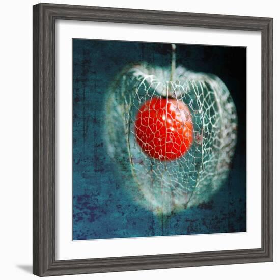 Prison of Love-Philippe Sainte-Laudy-Framed Photographic Print