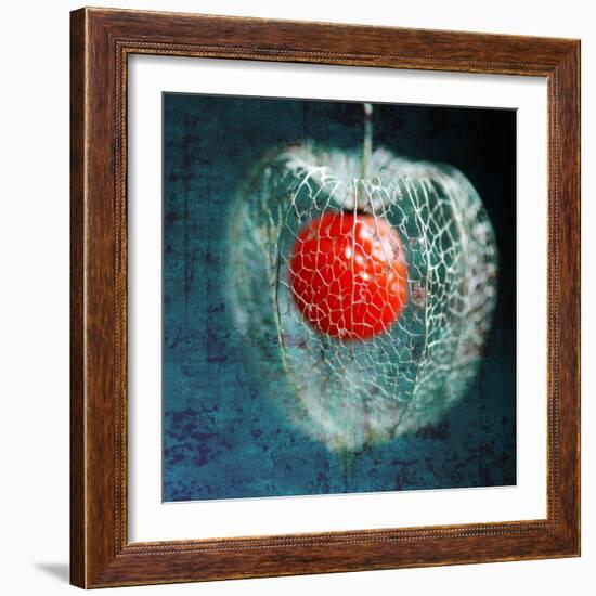 Prison of Love-Philippe Sainte-Laudy-Framed Photographic Print