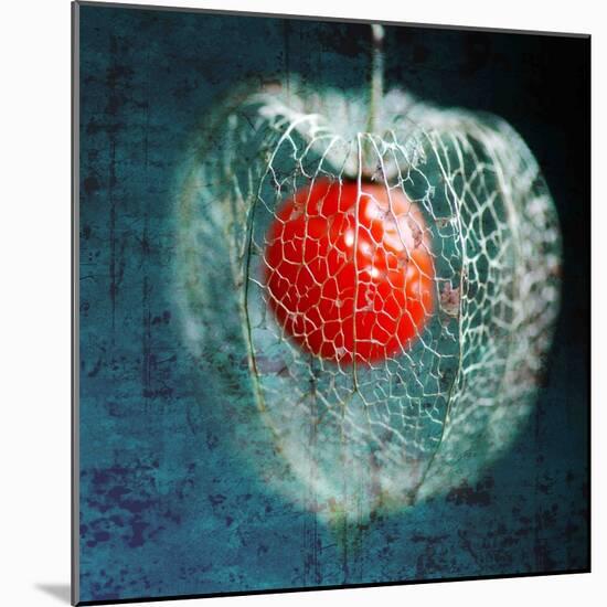 Prison of Love-Philippe Sainte-Laudy-Mounted Photographic Print