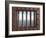 Prison-drizzd-Framed Art Print