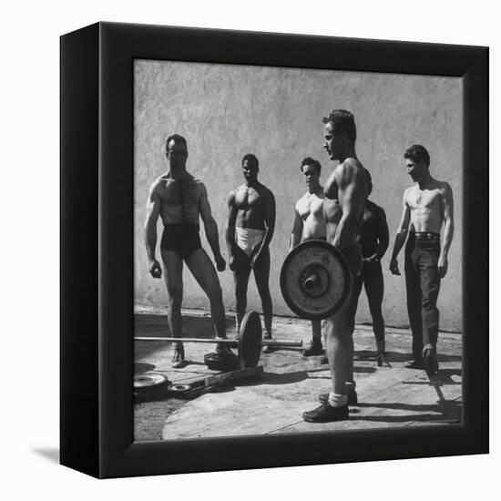 Prisoners at San Quentin Weightlifting in Prison Yard During Recreation Period-Charles E^ Steinheimer-Framed Premier Image Canvas