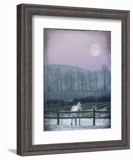 Prissy On Snowy Night-Dawne Polis-Framed Art Print