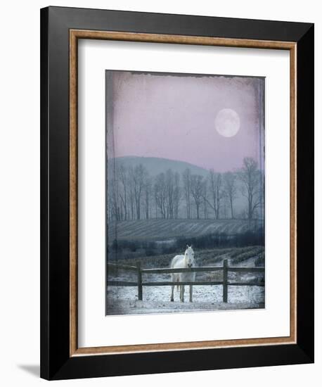 Prissy On Snowy Night-Dawne Polis-Framed Art Print