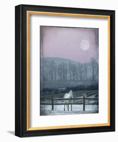 Prissy On Snowy Night-Dawne Polis-Framed Art Print